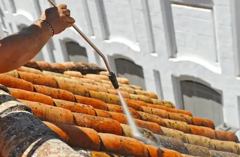 Nettoyage de toitures - Goudelin